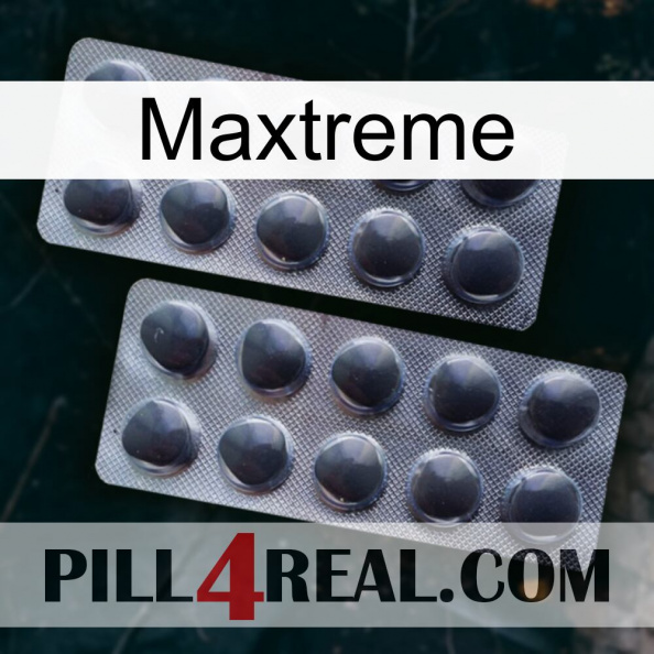 Maxtreme 31.jpg